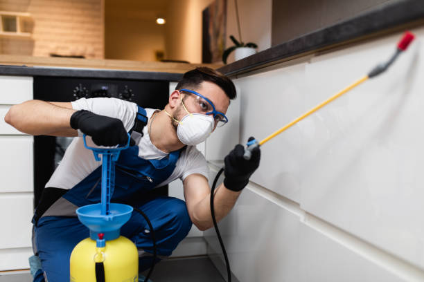 Best Exterminator Services  in Scow Mills, MO