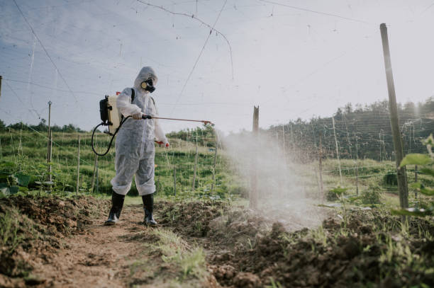 Professional Pest Control in Moscow Mills, MO