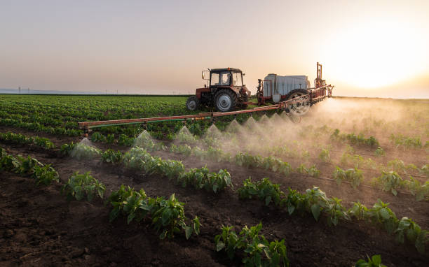 Best Pest Control for Businesses  in Scow Mills, MO