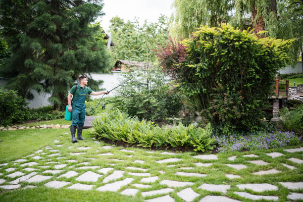 Best Best Pest Control Near Me  in Scow Mills, MO