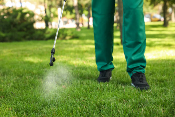 Best Commercial Pest Control Services  in Scow Mills, MO