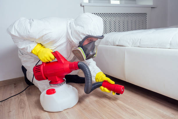 Best Pest Prevention Services  in Scow Mills, MO