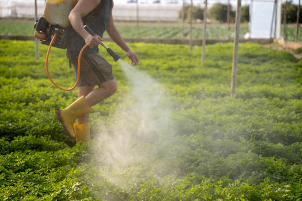 Best Affordable Pest Control Services  in Scow Mills, MO