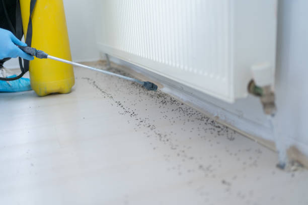 Best Pest Removal Services  in Scow Mills, MO