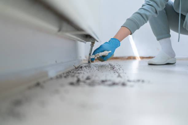 Best Best Pest Control Companies  in Scow Mills, MO